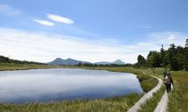 鬼怒沼も夏本番　日光