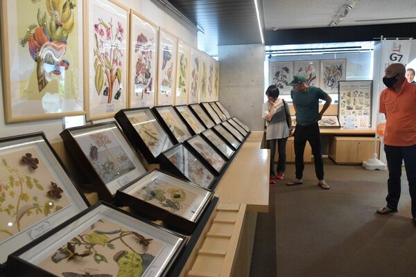 道の駅の会場で展示をじっくり見つめる来場者