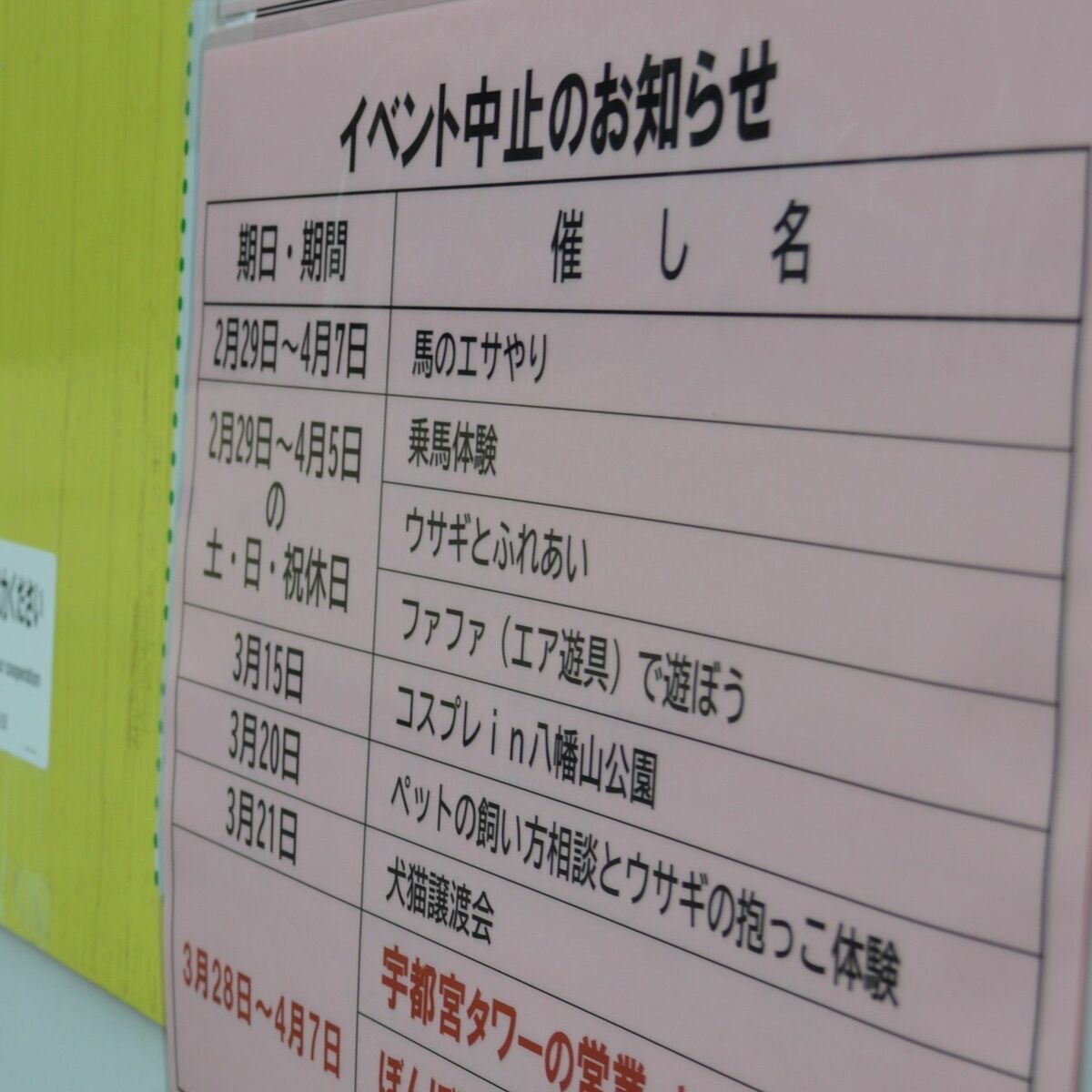 桜イベント軒並み中止 新型コロナ影響 開花間近の栃木県内 大打撃 と飲食関係者 社会 県内主要 下野新聞 Soon ニュース 新型肺炎 Covid19 下野新聞 Soon スーン