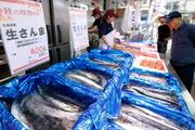 サンマ豊漁、水揚げ昨年比２倍超