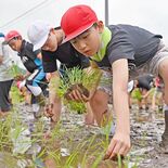鹿沼・粕尾小児童32人　田植えに挑戦、先人の苦労思う　秋には稲刈り
