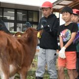 かわいい“新入生”がやって来た　那須・学びの森小に子牛の「ミルキー」　５年生が12月まで飼育
