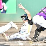 栃木GB、茨城に８－４で勝利　雷雨でコールド成立　
