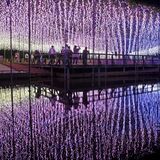 あしかがフラワーパーク 「唯一無二」のイルミが初の日本一に輝く 部門1位も獲得でダブル受賞