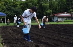 お気に召したら移住もどうぞ　日光でソバ体験事業