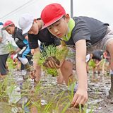 鹿沼・粕尾小児童32人　田植えに挑戦、先人の苦労思う　秋には稲刈り
