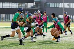 桐蔭学園と京都成章が７日に対戦