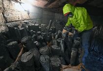 「下野菊花炭」の炭焼き本格化　市貝