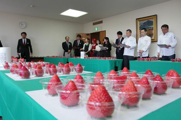 とちあいかが多数並べられたコンテストの審査会場＝22日午後、宇都宮市