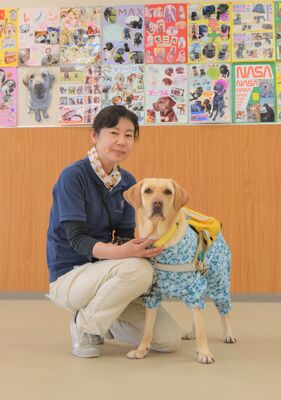 盲導犬の普及推進活動を担うＰＲ犬のシンディーと准訓練師の多賀まり子さん