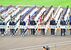 整列する出場各校の選手たち＝甲子園