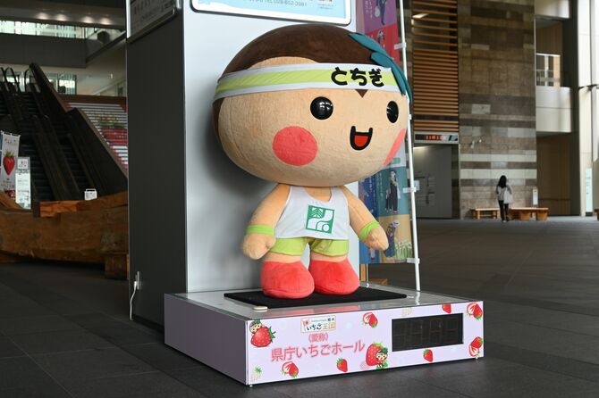 県庁1階ロビーで来庁者を出迎えるとちまるくん