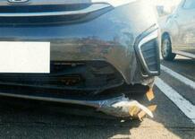 クマ衝突事故、前年の５倍