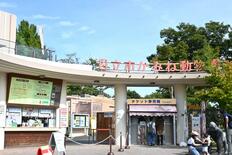 園内から太平洋を一望
