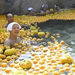 湯面にユズ2026個　日光で「日本一の風呂」