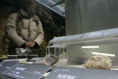 規制強化後に複数許可