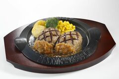 “新”爆弾ハンバーグ好評、増収増益　フライングガーデン９月中間　24年３月期予想据え置き