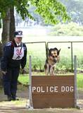 嘱託警察犬など訓練の成果披露
