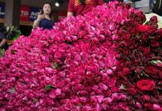 バラ売りもします