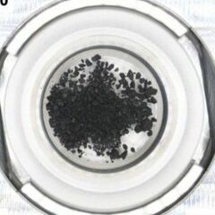 生命の起源 解明の手掛かりに　小惑星リュウグウから遺伝物質材料　矢板出身の高野さんら研究チームが発見