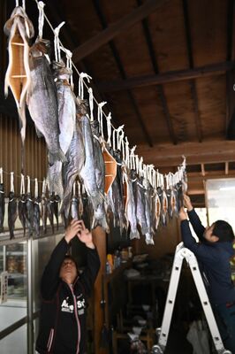 寒風にさらされる「塩引き三依鱒」