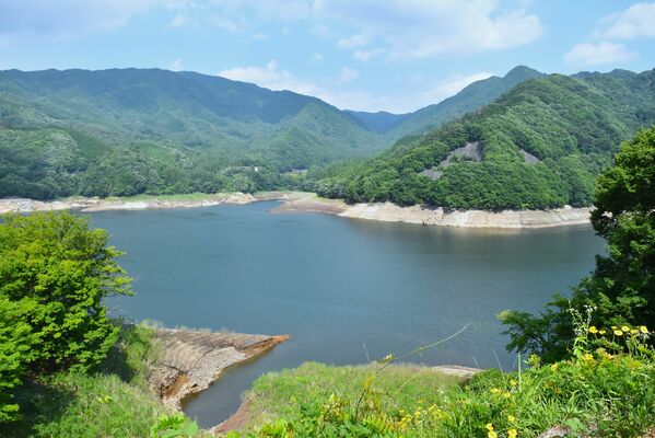 美術館からも一望できる草木湖