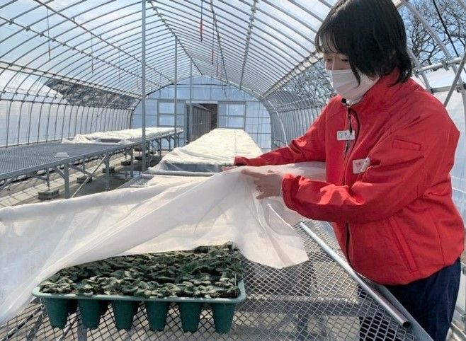 いちご学科生が育てる苗の様子を見る多喜助教授＝県農業大学校