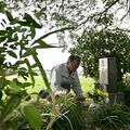 畑の端に立つ少尉の碑　資料乏しく取材難航　継承者の熱意、連載の助けに　