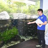 360度パノラマにデジタルモニターも 大田原・なかがわ水遊園25周年、広がる展示の多様性