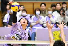 レーヴィスＰＯ初進出