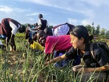 給食のおかずは豆だけ?