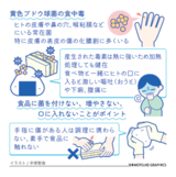 【人と社会と感染症　岡田教授のなるほど講座】（12）黄色ブドウ球菌　手指の傷から食中毒に　菌を食品に付けないことが重要