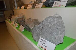 葛生化石館に展示されている石灰岩やドロマイト