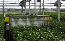 「スマート農業」視察会　宇都宮