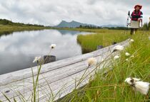 鬼怒沼 天空の楽園ハイカー癒す　日光