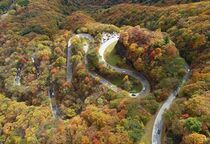 日光のいろは坂で紅葉見頃