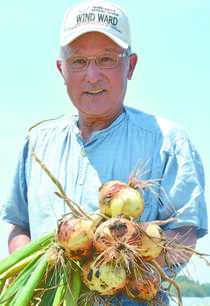 ＜167＞ 血液サラサラ、健康野菜　ＪＡうつのみやの玉ネギ