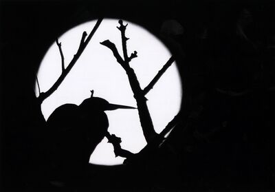 入選「影絵」牧内有三（那須塩原）