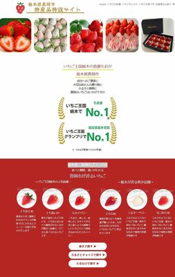 イチゴをＰＲする真岡市ふるさと納税特設サイトの画面