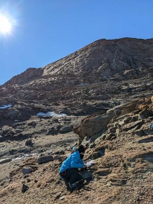 スカルブスネス露岩域で火星候補地の調査を行う野口隊員＝2022年１月、南極