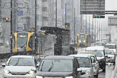 栃木県内広範囲で雪　平地でも積雪