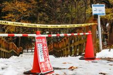 札幌、円山動物園にヒグマの足跡