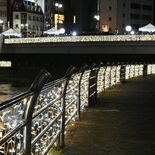 冬の夜に彩り 宮の橋と田川遊歩道で「X’masイルミネーション」 宇都宮