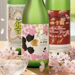 3月7日に「四季桜花見酒の会」、宇都宮パセオ「SAKE＿TO＿SAKE…