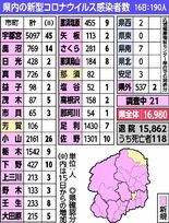 栃木県内新たに190人　茂木の事業所でクラスター　新型コロナ、16日