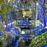 宇都宮の冬の夜を彩るイルミネーション　26万球のLED、幻想的に
