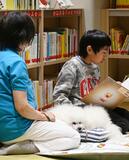 子どもが犬へ読み聞かせ