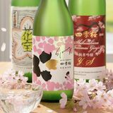 3月7日に「四季桜花見酒の会」、宇都宮パセオ「SAKE＿TO＿SAKE」　宇都宮酒造
