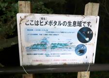 名古屋城ホタル地域で守る