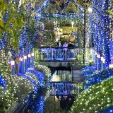 宇都宮の冬の夜を彩るイルミネーション　26万球のLED、幻想的に